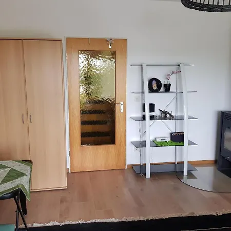 Mit Phantastischer Aussicht Auf Koblenz