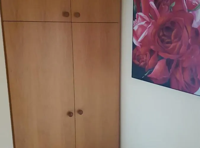 Apartamento Mit Phantastischer Aussicht Auf Coblenza